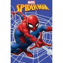 Κουβέρτα Κούνιας Fleece100x150εκ. Spiderman 10 Disney Dimcol - N