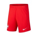 Shorts Nike Poland Breathe Away M CD0865-688