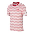 Nike Poland Pre-Match M CV0557-100 jersey