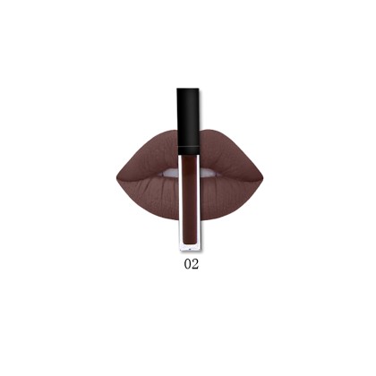 Beautyware Ματ Lip Gloss (10654) 02