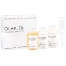 Olaplex Bond Multiplier No. 1 Traveling Stylist Kit Hair Serum 1