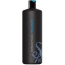 Sebastian Professional Trilliance Shampoo 1000ml (Dry Hair)