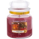 Yankee Candle Holiday Hearth Scented Candle 411gr