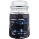 Yankee Candle American Home Moonlit Night Scented Candle 538gr