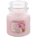 Yankee Candle Blush Bouquet Scented Candle 411gr
