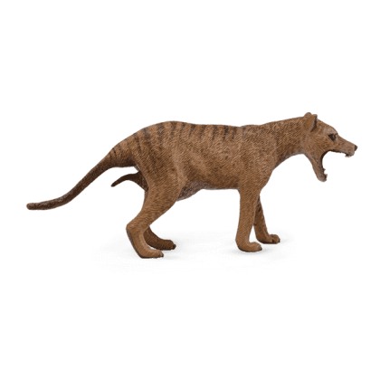 Μινιατούρα Θυλακίνος Τίγρης της Τασμανίας Θηλυκός Large 88767 - 