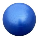 Μπάλα Γυμναστικής 55cm - Αθλοπαιδία 005.80017