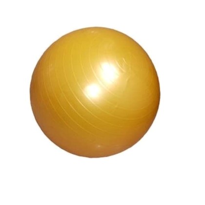 Μπάλα γυμναστικής Antibrust WS-6008