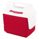 Ψυγείο ισοθερμικό Playmate Mini 4L IGLOO 41201