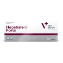 VetExpert Hepatiale Forte για Υποστήριξη του Ήπατος σε Γάτες 40 