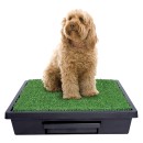 PetSafe Pet Loo - Τουαλέτα για Σκύλους με Γρασίδι 63x63cm