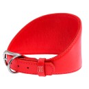 Collar Περιλαίμιο Δερμάτινο Κόκκινο 23-27 cm