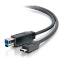 POWERTECH Καλώδιο CAB-UC015 USB 3.0 Type-C σε USB Type B, 1m, μα