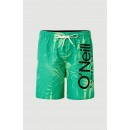 ONEILL PM CALI FLORAL SHORTS (0A3228M-6910) GREEN