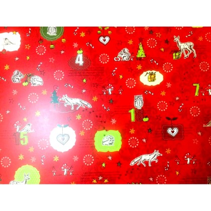Χαρτόνι HEYDA 50x70cm Χριστουγεννιάτικα Σχέδια - Μονής Όψης
