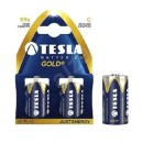 Tesla Batteries GOLD Alk C P2
