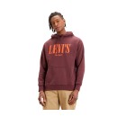 38479-0003 LEVI’S® ΦΟΥΤΕΡ ΜΕ ΚΟΥΚΟΥΛΑ T2 RELAXED GRAPHIC HOODIE 