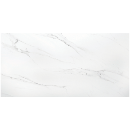 
        Polo Carrara Brillo 60x120 - Πλακάκι δαπέδου γρανίτη
  