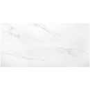 
        Polo Carrara Satin 60x120 - Πλακάκι δαπέδου γρανίτη
   