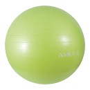 Μπάλα Γυμναστικής AMILA Κωδ. 48416 AMILA