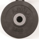 Δίσκος με Επένδυση Λάστιχου 2,50Kg AMILA Κωδ. 44472 AMILA