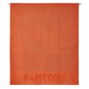 Πετσέτα Θαλάσσης Loft Pantone 0218 Cotton Kentia (80x160) 1Τεμ