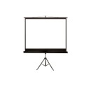 4world Projection screen on status 170X127 84 4: 3 white matte