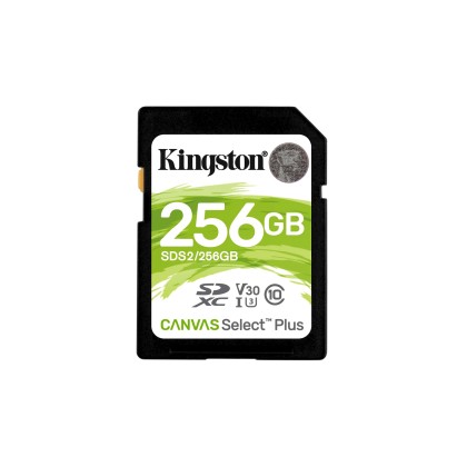 Kingston Technology Canvas Select Plus memory card 256 GB SDXC C