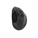 NATEC Wireless mouse Euphonie black