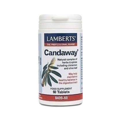 
       Lamberts Candaway 60 ταμπλέτες
    