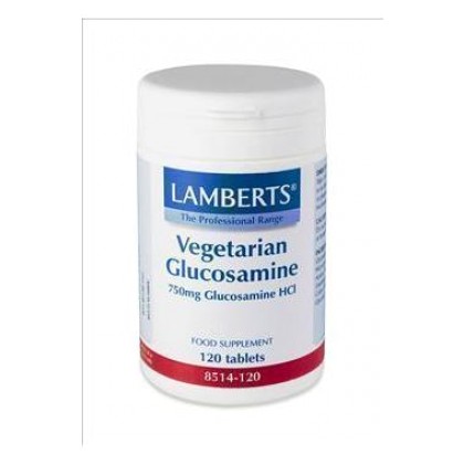 
      Lamberts Vegetarian Glucosamine 750mg 120 ταμπλέτες
    