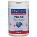 
      Lamberts Pulse Pure Fish Oil 1300mg & CoQ10 100mg 90caps
