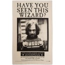 Harry Potter - Have You Seen This Wizard? Poster Tea Towel