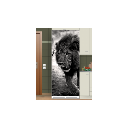 Αυτοκόλλητο ψυγείου με Λιοντάρι