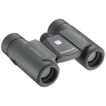 Olympus 10x21 RC II WP binocular Black (V501054BE000) - Πληρωμή 