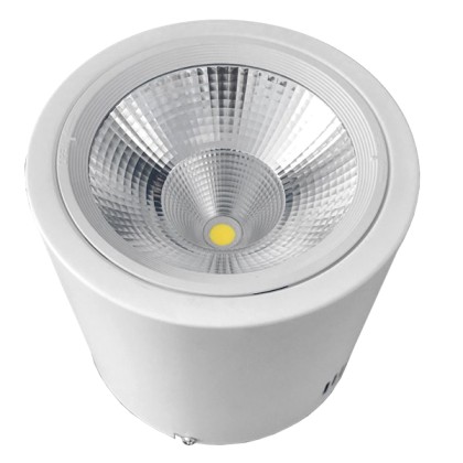 LED Φωτιστικό Σποτ Οροφής Down Light 30W 230V 4500lm 24° Φυσικό 