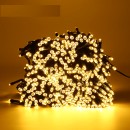 Εξωτερικού Χώρου Χριστουγεννιάτικα λαμπάκια LED 100 με Ενισχυμέν