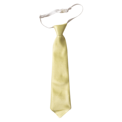 Παιδική γραβάτα για αγόρια Shiny Λαχανί