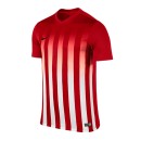 NIKE SS STRIPED DIVISION II JSY