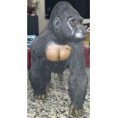 The Rarest Gorilla   Silverback gorillas.  Rare statue in polyst