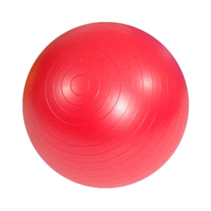 Athlopaidia Gym Ball 55cm 005.80017