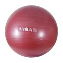 Amila Gym Ball 65cm 48441