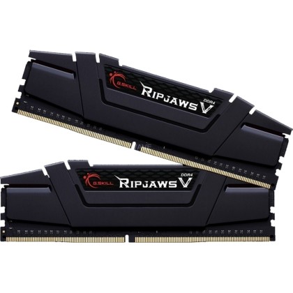 
      G.Skill RipjawsV 16GB DDR4-3200MHz (F4-3200C15D-16GVK)
  
