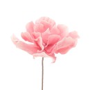 Λουλούδι/Κλαδί Ροζ  35x35x72εκ