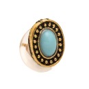 Ear jewel pair oval gold shield with turquoise stone